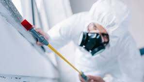 Best Termite Inspection and Treatment  in North Boston, NY